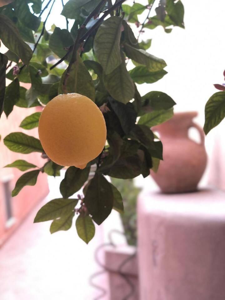 A Casa Dei Sasso Villa Positano Dış mekan fotoğraf