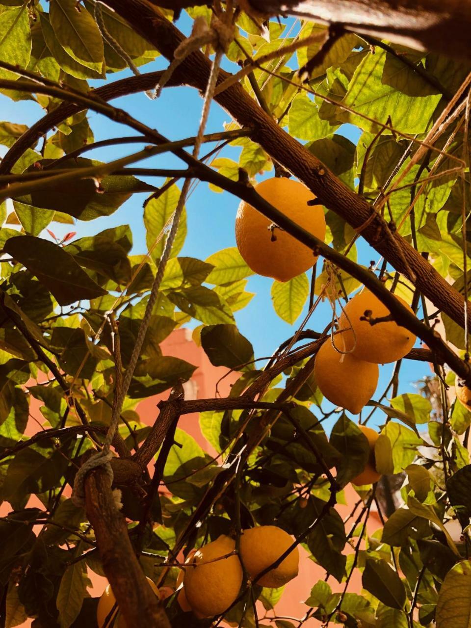 A Casa Dei Sasso Villa Positano Dış mekan fotoğraf
